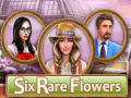                                                                     Six Rare Flowers ﺔﺒﻌﻟ