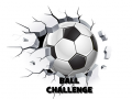                                                                     Ball Challenge ﺔﺒﻌﻟ