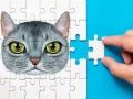                                                                     Abyssinian Puzzle Challenge ﺔﺒﻌﻟ