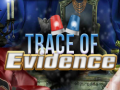                                                                     Trace of Evidence ﺔﺒﻌﻟ