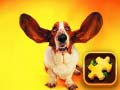                                                                     Funny Dogs Puzzle ﺔﺒﻌﻟ