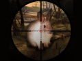                                                                     Classical Rabbit Sniper Hunting 2019 ﺔﺒﻌﻟ