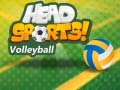                                                                     Head Sports Volleyball ﺔﺒﻌﻟ