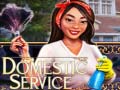                                                                     Domestic Service ﺔﺒﻌﻟ