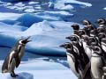                                                                     Penguins Slide ﺔﺒﻌﻟ