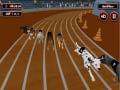                                                                     Crazyl Dog Racing Fever ﺔﺒﻌﻟ
