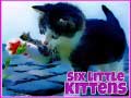                                                                     Six Little Kittens ﺔﺒﻌﻟ