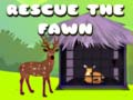                                                                     Rescue the fawn ﺔﺒﻌﻟ
