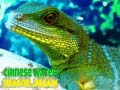                                                                     Chinese Water Dragon Jigsaw ﺔﺒﻌﻟ