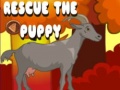                                                                     Rescue The Puppy ﺔﺒﻌﻟ