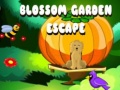                                                                     Blossom Garden Escape ﺔﺒﻌﻟ