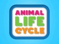                                                                     Animal Life Cycle ﺔﺒﻌﻟ