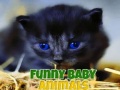                                                                     Funny Baby Animals ﺔﺒﻌﻟ