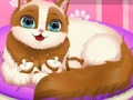                                                                     Cute Kitty Pregnant ﺔﺒﻌﻟ