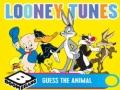                                                                     Looney Tunes Guess the Animal ﺔﺒﻌﻟ