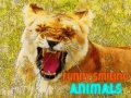                                                                     Funny Smiling Animals ﺔﺒﻌﻟ