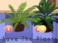                                                                     Save the Plants ﺔﺒﻌﻟ