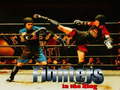                                                                     Fighters in the Ring ﺔﺒﻌﻟ