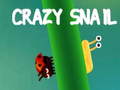                                                                     Crazy snail ﺔﺒﻌﻟ