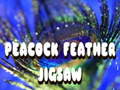                                                                     Peacock Feather Jigsaw ﺔﺒﻌﻟ