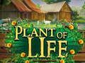                                                                     Plant of Life ﺔﺒﻌﻟ