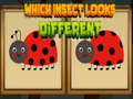                                                                     Which Insect Looks Different ﺔﺒﻌﻟ