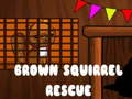                                                                     Brown Squirrel Rescue ﺔﺒﻌﻟ