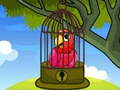                                                                     Red Parrot Rescue ﺔﺒﻌﻟ