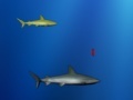                                                                    Lost shark ﺔﺒﻌﻟ