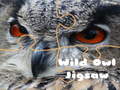                                                                     Wild owl Jigsaw ﺔﺒﻌﻟ