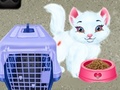                                                                     Baby Taylor Pet Care ﺔﺒﻌﻟ
