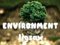                                                                     Environment Jigsaw ﺔﺒﻌﻟ