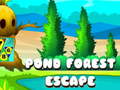                                                                     Pond Forest Escape ﺔﺒﻌﻟ