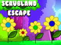                                                                     Scrubland Escape ﺔﺒﻌﻟ