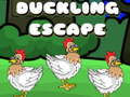                                                                     Duckling Escape ﺔﺒﻌﻟ