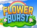                                                                     Flower Burst ﺔﺒﻌﻟ