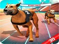                                                                     Crazy Dog Race ﺔﺒﻌﻟ