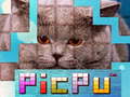                                                                     PicPu Cat  ﺔﺒﻌﻟ