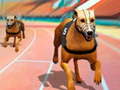                                                                    Dogs3D Races ﺔﺒﻌﻟ