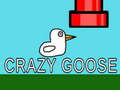                                                                    Crazy Goose ﺔﺒﻌﻟ