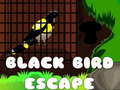                                                                     Black Bird Escape ﺔﺒﻌﻟ