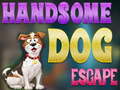                                                                     Handsome Dog Escape ﺔﺒﻌﻟ