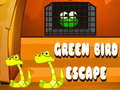                                                                     Green Bird Escape ﺔﺒﻌﻟ