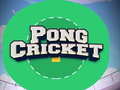                                                                     Pong Cricket ﺔﺒﻌﻟ