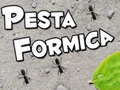                                                                     Pesta Formica ﺔﺒﻌﻟ
