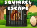                                                                     Squirrel Escape ﺔﺒﻌﻟ