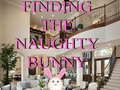                                                                     Finding The Naughty Bunny ﺔﺒﻌﻟ