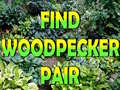                                                                     Find Woodpecker Pair  ﺔﺒﻌﻟ