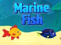                                                                    Marine Fish ﺔﺒﻌﻟ