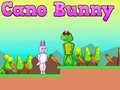                                                                     Cano Bunny ﺔﺒﻌﻟ